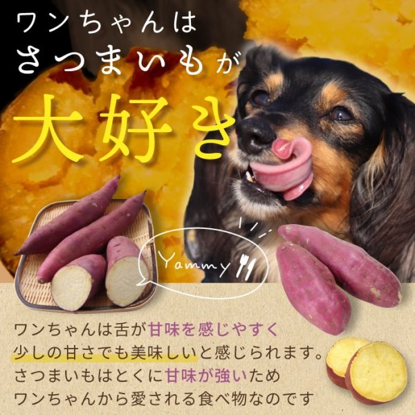 画像2: 【ポイント10倍で会員様はお得】 ペット用おやつ さつまいもボーロ 45g (2)