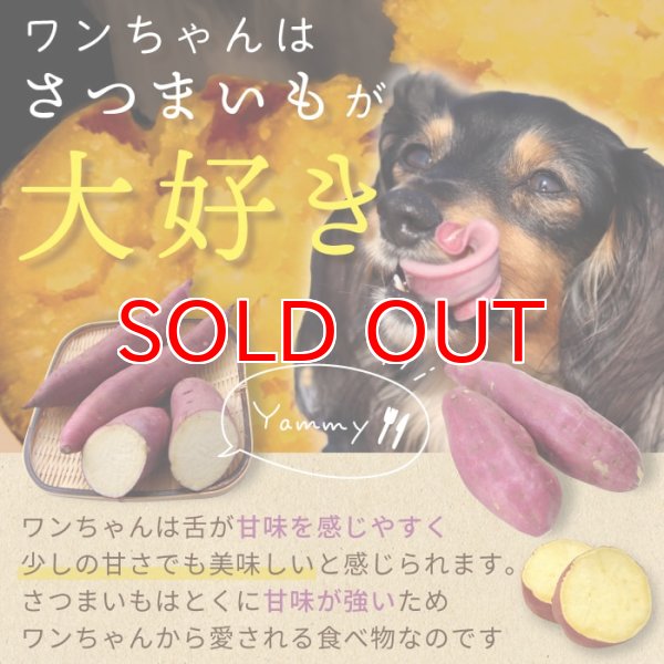 画像2: 【ポイント10倍で会員様はお得】 ペット用おやつ さつまいもボーロ 45g (2)