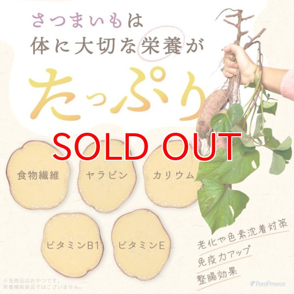 画像3: 【ポイント10倍で会員様はお得】 ペット用おやつ さつまいもボーロ 45g (3)