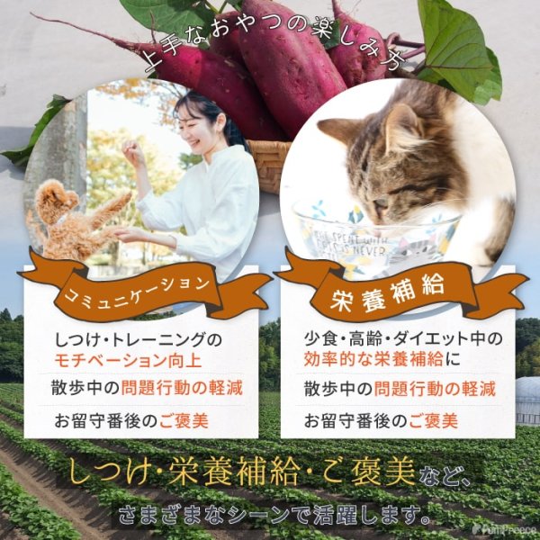 画像4: 【ポイント10倍で会員様はお得】 ペット用おやつ さつまいもボーロ 45g (4)