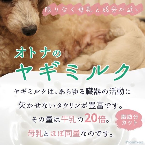 画像6: 【25%OFF 在庫処分セール品（9014SALE）】オトナのヤギミルク（内容量：80g）［賞味期限：2026.08.07］ (6)