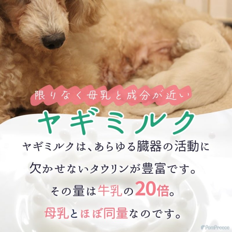 画像2: [オランダ産] 犬猫用 ヤギミルク 80g [賞味期限：2026.12.18] (2)