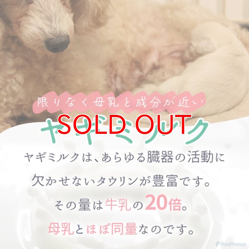 画像2: [オランダ産] 犬猫用 ヤギミルク 80g [賞味期限：2026.12.18] (2)