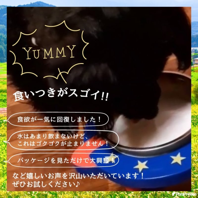 画像4: [オランダ産] 犬猫用 ヤギミルク 80g [賞味期限：2026.12.18] (4)