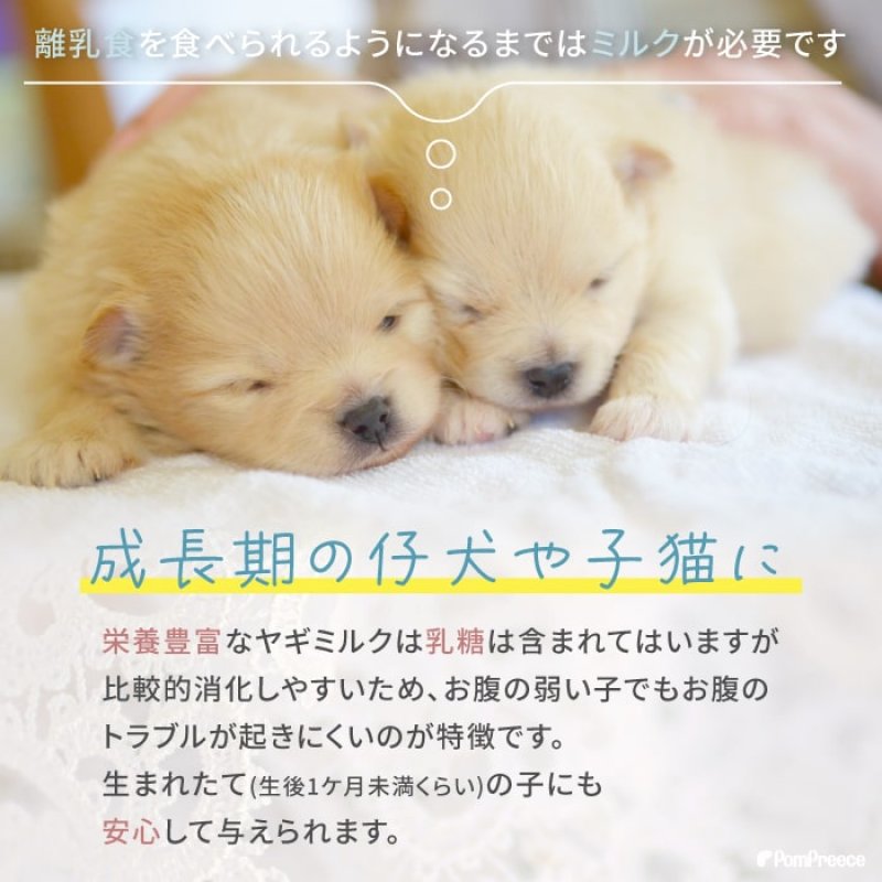 画像5: [オランダ産] 犬猫用 ヤギミルク 80g [賞味期限：2026.12.18] (5)