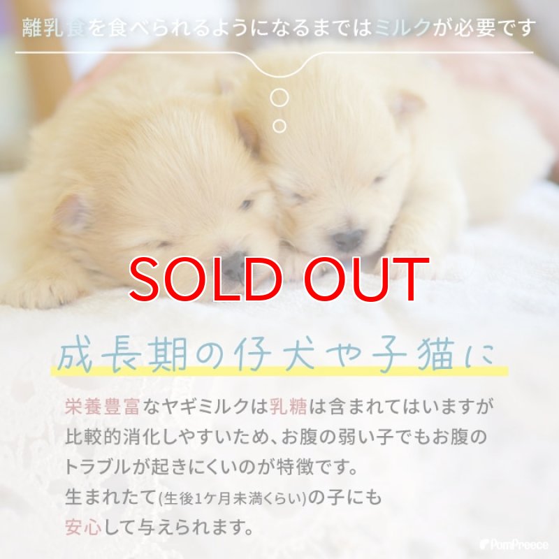 画像5: [オランダ産] 犬猫用 ヤギミルク 80g [賞味期限：2026.12.18] (5)