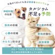 画像10: 【ポイント10倍で会員様はお得】ヤギミルク 80g (10)