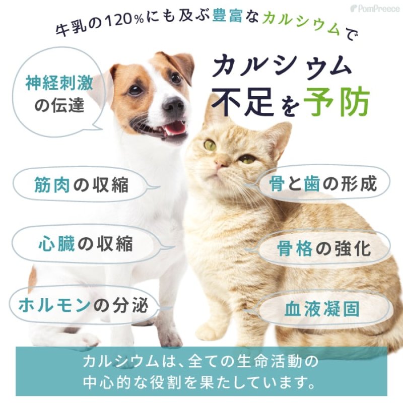 画像10: [オランダ産] 犬猫用 ヤギミルク 80g [賞味期限：2026.12.18] (10)