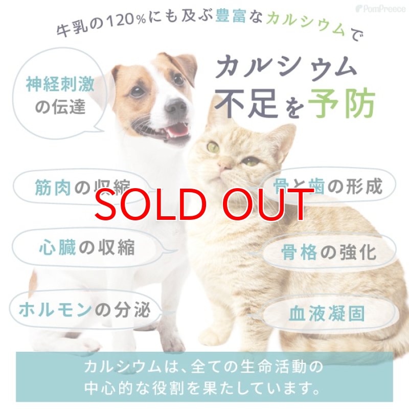 画像10: [オランダ産] 犬猫用 ヤギミルク 80g [賞味期限：2026.12.18] (10)