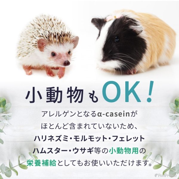 画像14: 【ポイント10倍で会員様はお得】ヤギミルク 80g (14)