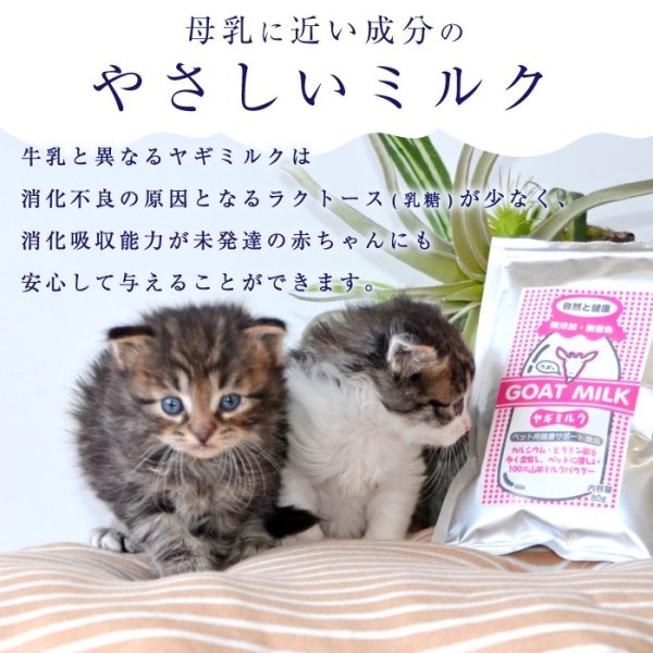 画像16: 【ポイント10倍で会員様はお得】ヤギミルク 80g (16)