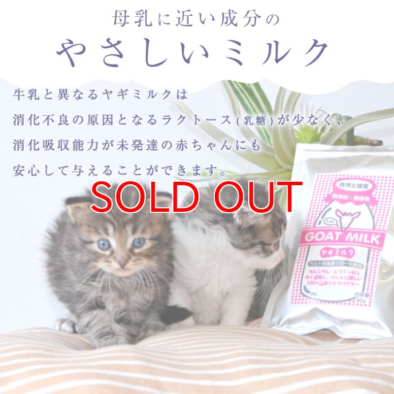画像16: [オランダ産] 犬猫用 ヤギミルク 80g [賞味期限：2026.12.18] (16)