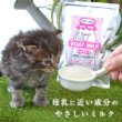 画像15: 【ポイント10倍で会員様はお得】ヤギミルク 80g (15)