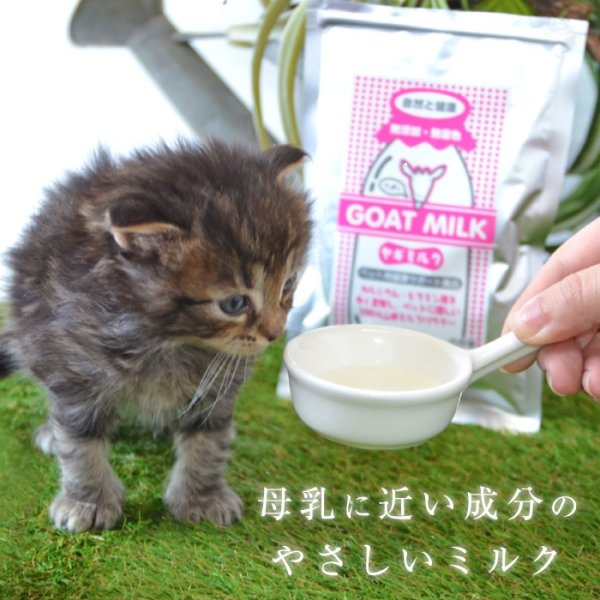 画像15: 【ポイント10倍で会員様はお得】ヤギミルク 80g (15)