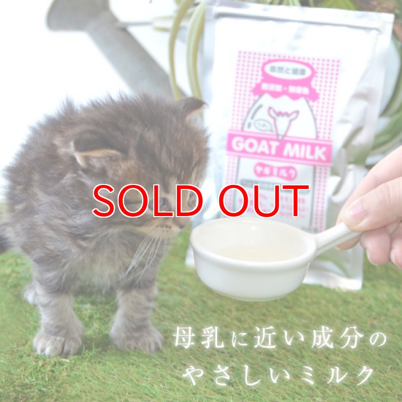 画像15: [オランダ産] 犬猫用 ヤギミルク 80g [賞味期限：2026.12.18] (15)
