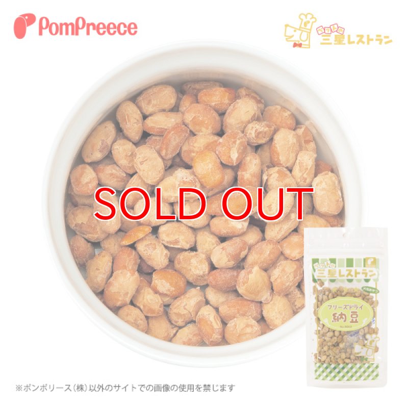 画像1: [国産]  犬猫用 フリーズドライ 納豆 100g [賞味期限：2026.9.25] (1)