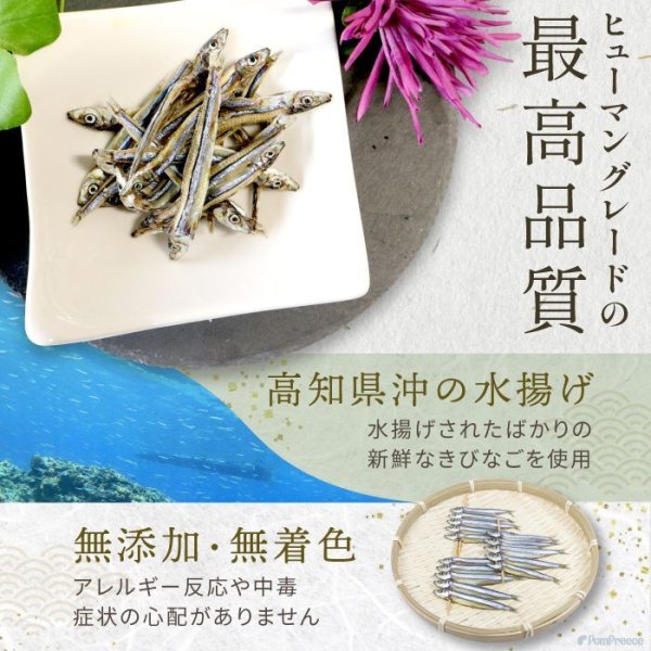 画像3: 【ポイント10倍で会員様はお得】 ペット用おやつ 国産 きびなご 30g (3)