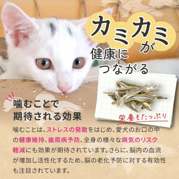 画像5: 【ポイント10倍で会員様はお得】 ペット用おやつ 国産 きびなご 30g (5)