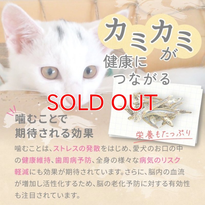 画像5: [国産] 犬猫用 きびなご 30g (5)