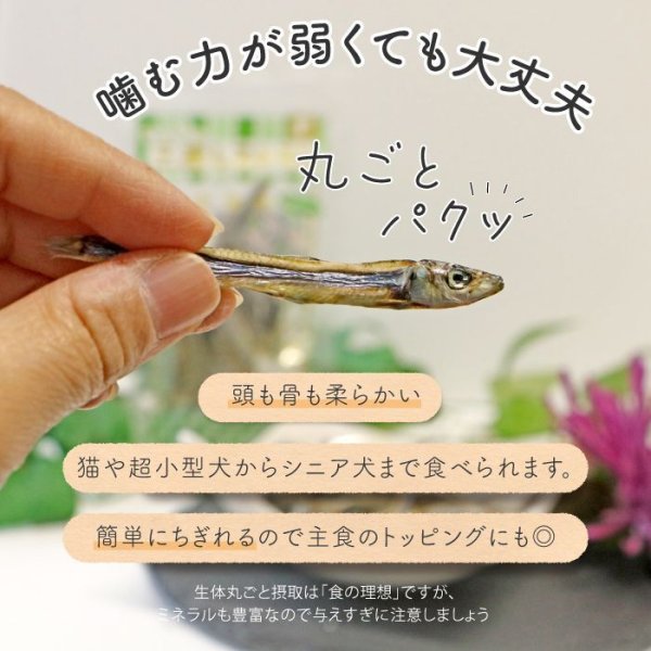 画像6: 【ポイント10倍で会員様はお得】 ペット用おやつ 国産 きびなご 30g (6)