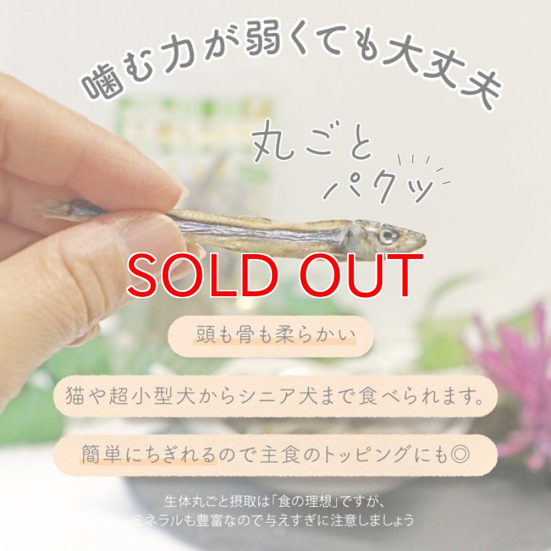 画像6: [国産] 犬猫用 きびなご 30g (6)