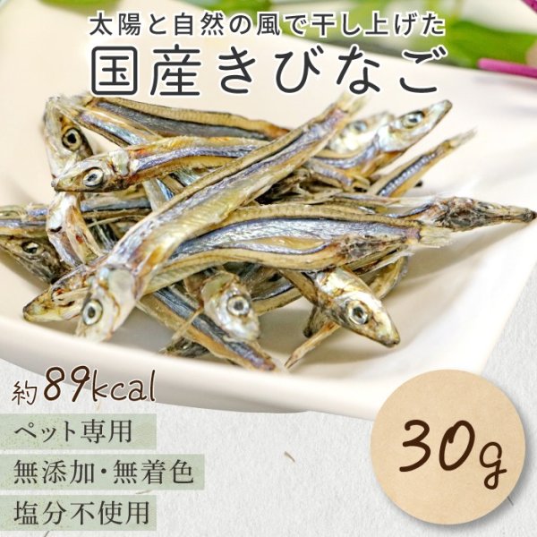 画像1: 【ポイント10倍で会員様はお得】 ペット用おやつ 国産 きびなご 30g (1)