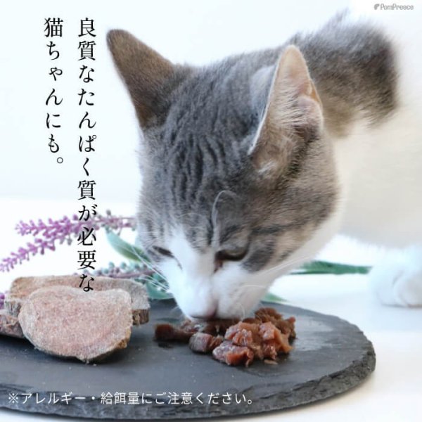 画像8: 【ポイント10倍で会員様はお得】 高タンパク 低カロリー 国産 フリーズドライ 馬肉 (8)