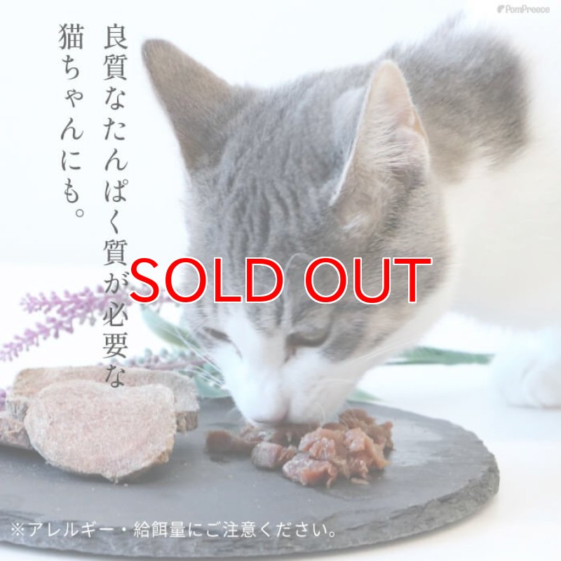 画像8: [国産] 犬猫用 高タンパク 低カロリー フリーズドライ 馬肉 (8)