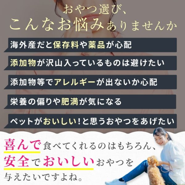 画像11: 【ポイント10倍で会員様はお得】 高タンパク 低カロリー 国産 フリーズドライ 馬肉 (11)