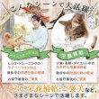画像13: 【ポイント10倍で会員様はお得】 高タンパク 低カロリー 国産 フリーズドライ 馬肉 (13)