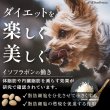 画像8: 【ポイント10倍で会員様はお得】 [国産]ペット用ピュアおからドライ(ダイエットサポート)　200g (8)