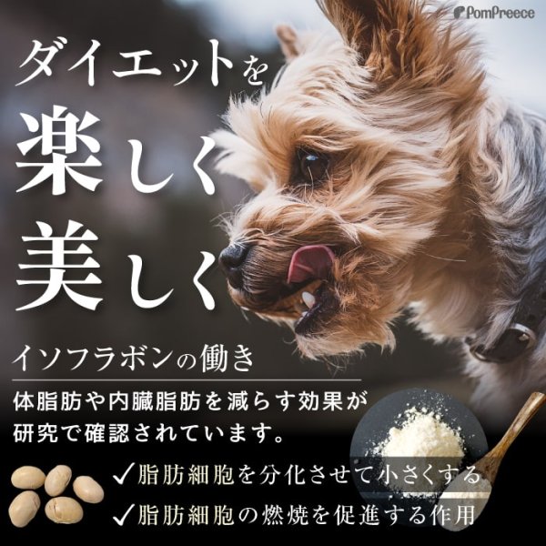 画像8: 【ポイント10倍で会員様はお得】1個分お得 [国産]ペット用ピュアおからドライ(ダイエットサポート)　まとめ買いセット ペット用ピュアおからドライ 200g×6個セット 1.2kg ポンポリース (8)