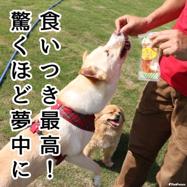 画像2: 犬用 国産 ササミそうめん ミニ (2)