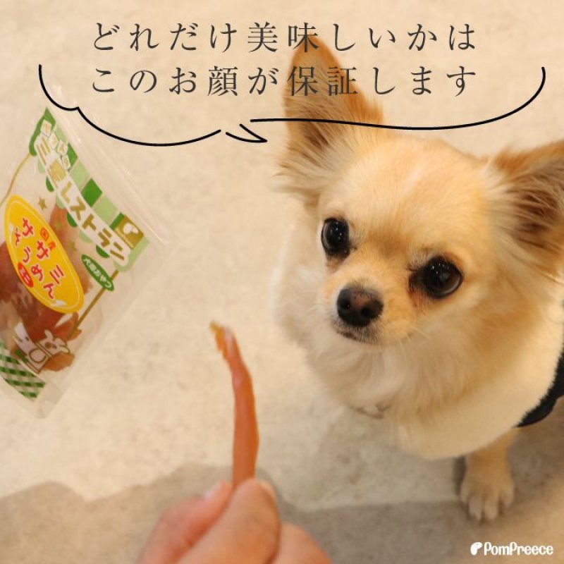 画像3: [国産] 犬用 ササミそうめん ミニ [賞味期限：2026.11.10] (3)