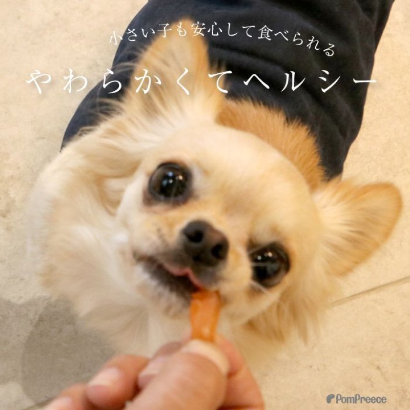 画像4: [国産] 犬用 ササミそうめん ミニ [賞味期限：2026.11.10] (4)