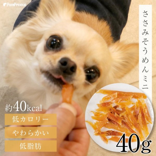 画像1: 【20%OFF 在庫処分セール品（9203SALE）】犬用 国産 ササミそうめん ミニ［賞味期限：2025.11.18］ (1)