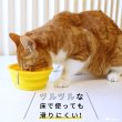 画像2: 【ポイント10倍で会員様はお得】 カラビナ付 2段階折りたたみフードボウル (2)