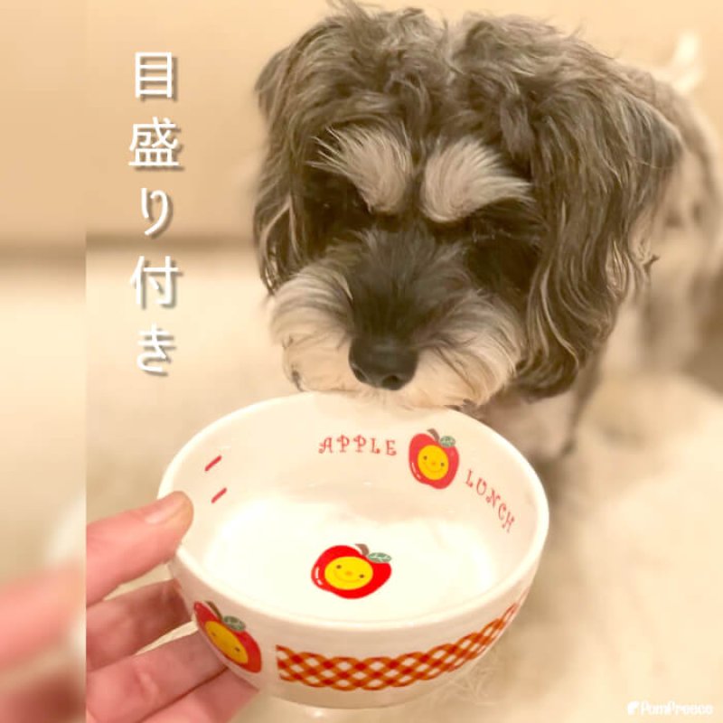 画像3: 【セール価格にてご提供】 中型フードディッシュアップルランチ (3)