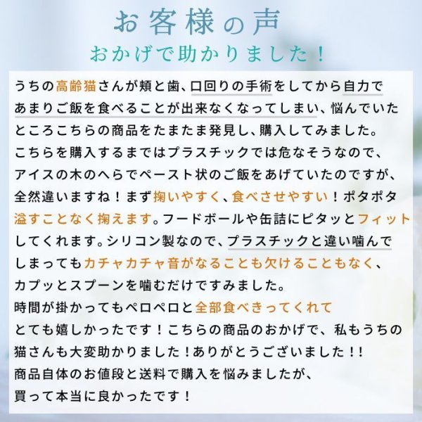 画像6: 【ポイント10倍で会員様はお得】 ペット用ソフトスプーン (6)