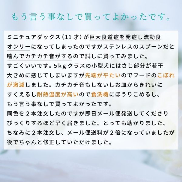 画像7: 【ポイント10倍で会員様はお得】 ペット用ソフトスプーン (7)