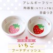 画像1: 【ポイント10倍で会員様はお得】 フードディッシュ イチゴ【小型】 (1)