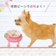 画像6: 犬猫用 木製食器台＋陶器製フードディッシュセット | 吐き戻し防止・首、背中への負担軽減 【セット販売記念SALE10%OFF】 (6)