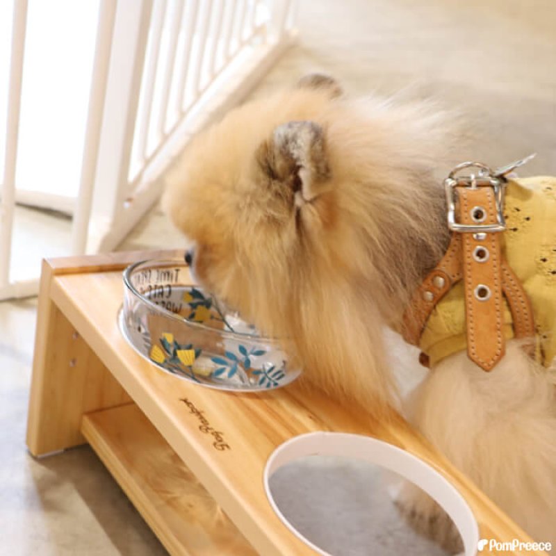 画像20: 【ポイント10倍で会員様はお得】ガラス製 フードディッシュ フラワーCAT (20)