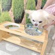 画像21: 【ポイント10倍で会員様はお得】NEW カラー登場！！ガラス製 フードディッシュ フラワーCAT (21)
