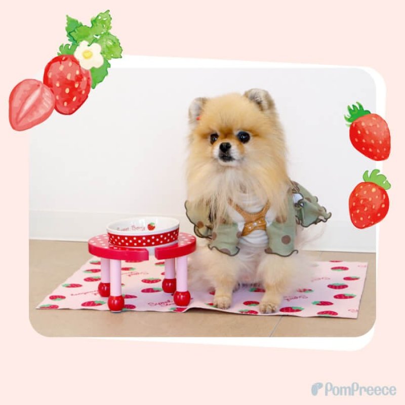 画像2: 小型犬用 木製 食器台 トロピカルフルーツ ※お皿は別売り (2)