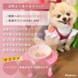 画像5: 【ポイント10倍で会員様はお得】  犬 猫 可愛い 食器台 木製 フードボウル  木製 食器台トロピカルフルーツ ※お皿は別売り【小型】 (5)