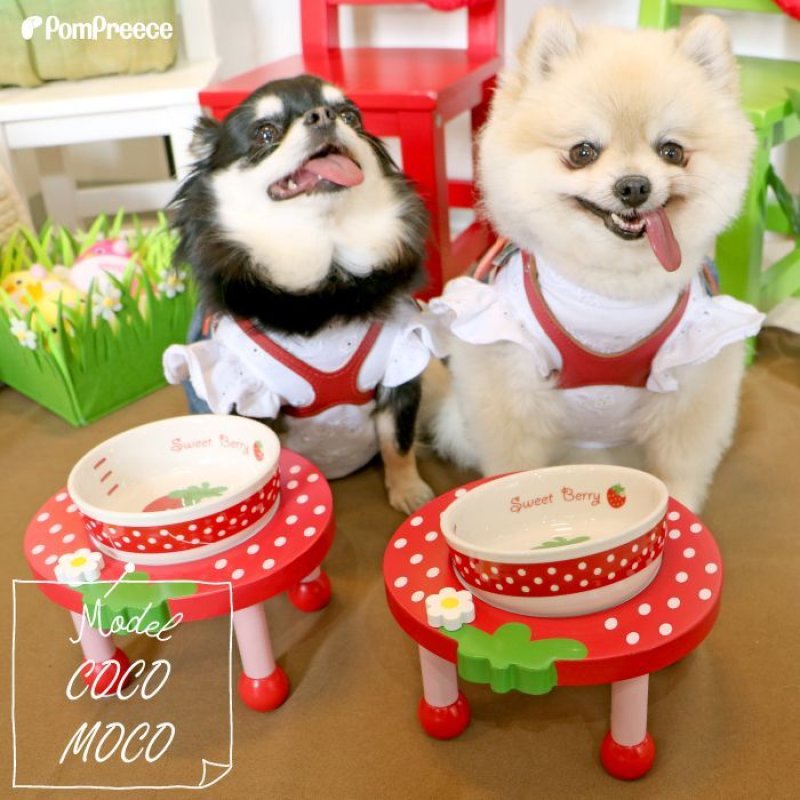 画像8: 小型犬用 木製 食器台 トロピカルフルーツ ※お皿は別売り (8)