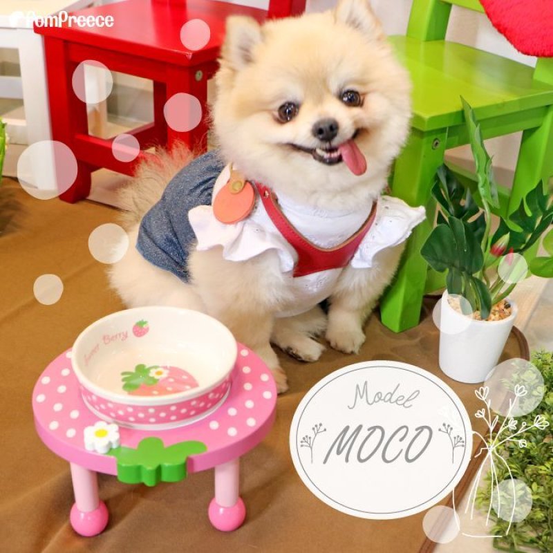 画像9: 小型犬用 木製 食器台 トロピカルフルーツ ※お皿は別売り (9)