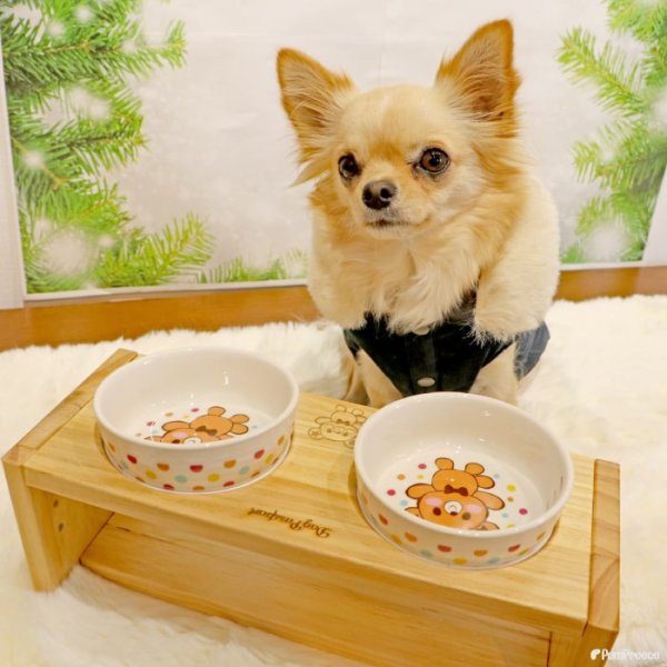 画像11: 【ポイント10倍で会員様はお得】フードディッシュ ハグベアー「ポム（Pomme）」【小型】 (11)