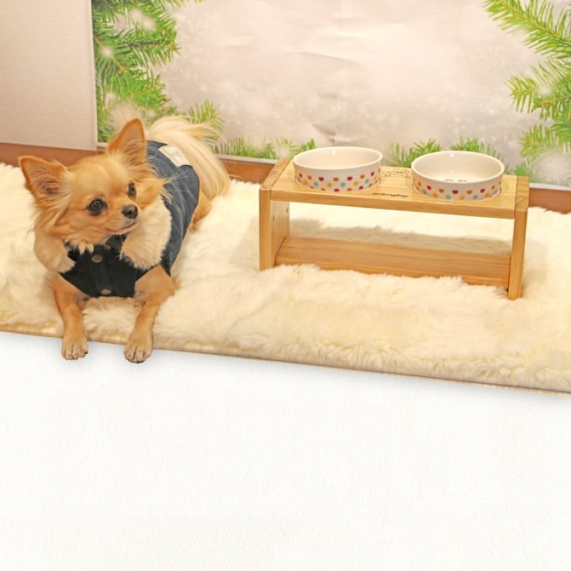 画像13: 【ポイント10倍で会員様はお得】フードディッシュ ハグベアー「ポム（Pomme）」【小型】 (13)